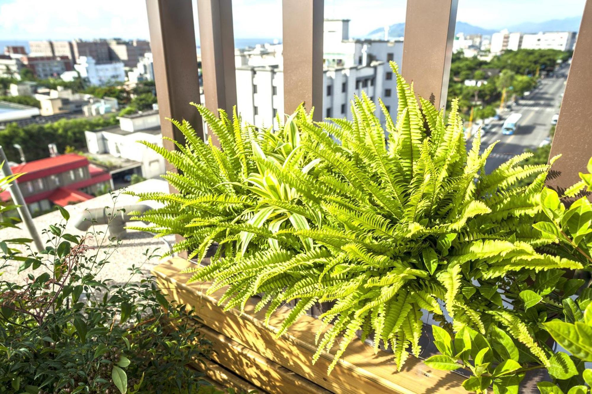 Lishiuan Hotel Hualien City Luaran gambar